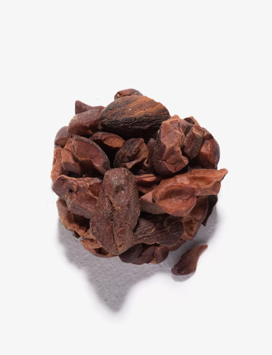 Cacao<DAMMANN Frères Cacao