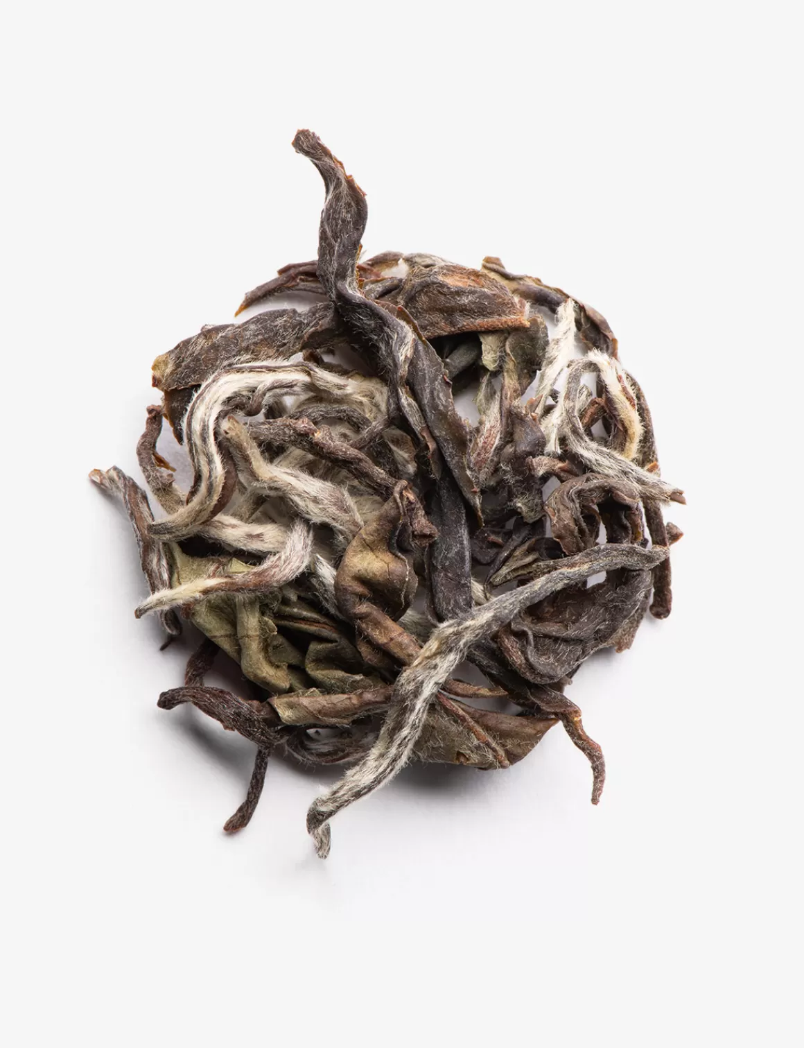 Tè Bianco<DAMMANN Frères Darjeeling castleton moonlight