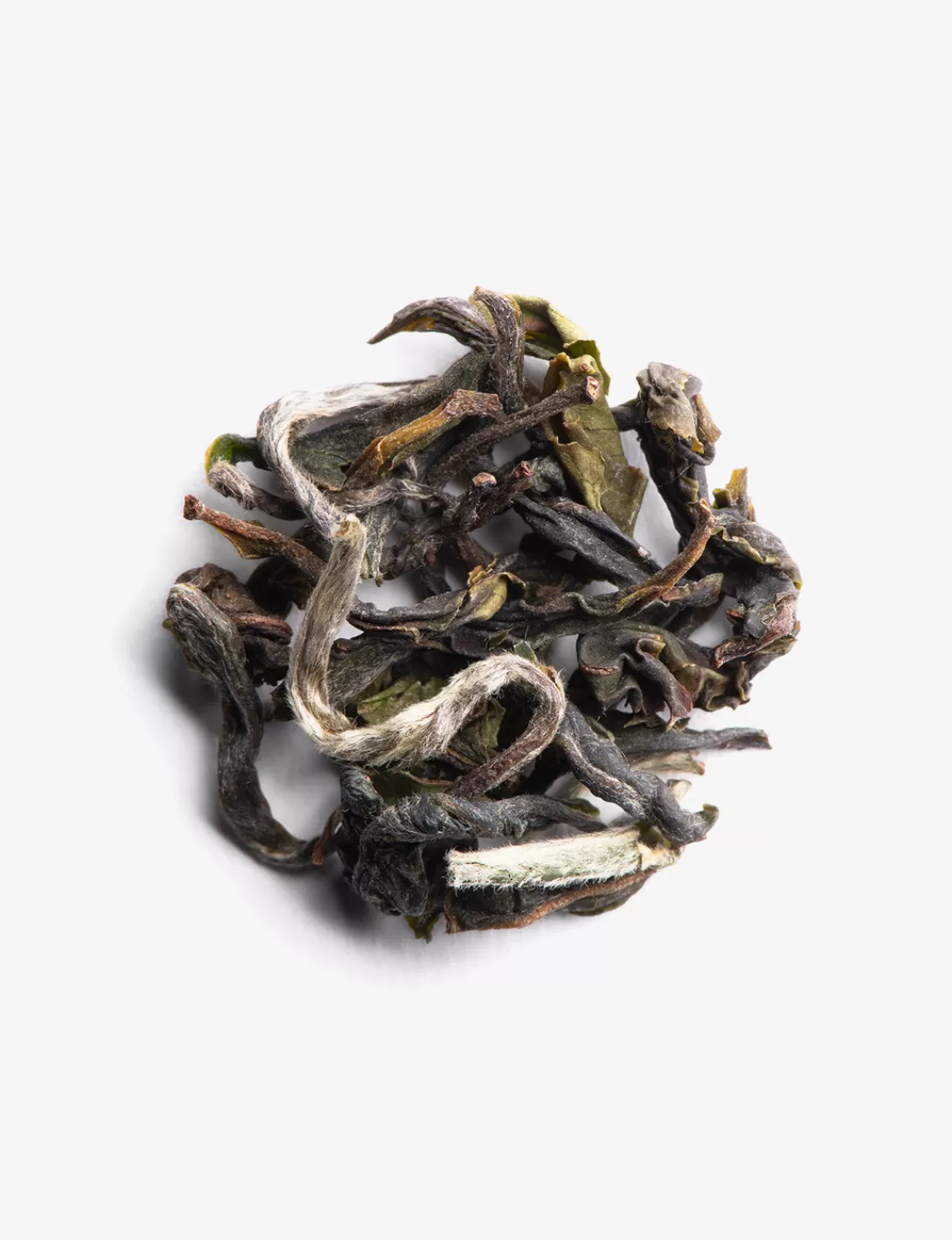 Tè Nero<DAMMANN Frères Darjeeling 1st flush Phuguri F.T.G.F.O.P. 2024 Grand Cru