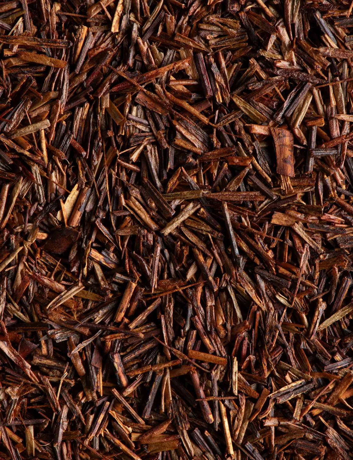 Rooibos | Rooibos<DAMMANN Frères Rooibos Cederberg BIO