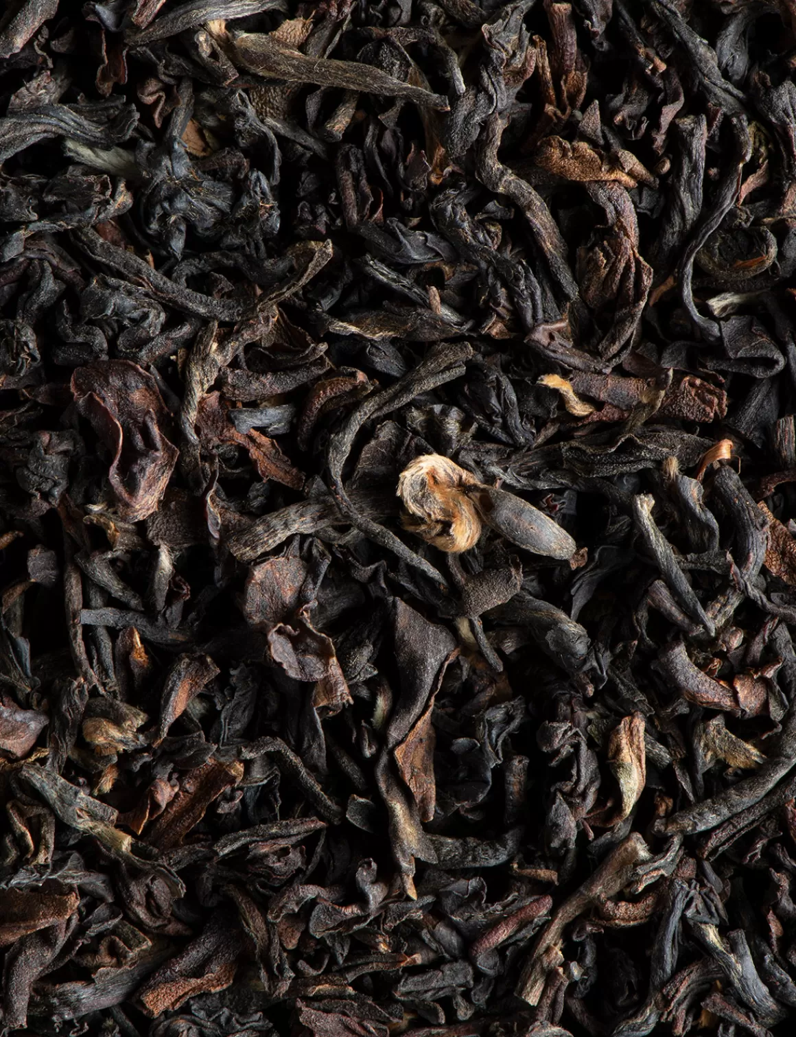 Tè Nero | Tè Nero<DAMMANN Frères Tè nero Darjeeling BIO