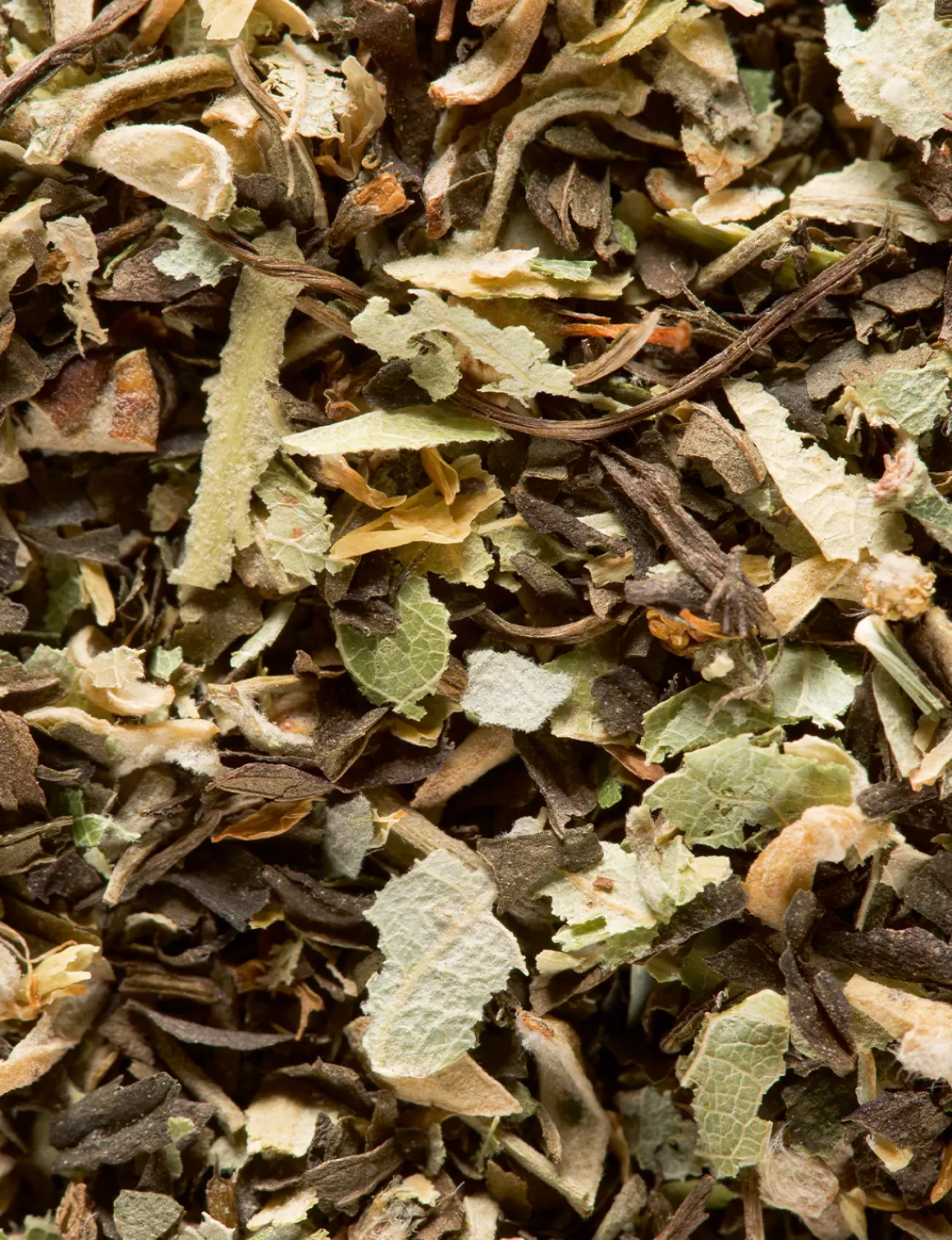 Tisana | Tisana<DAMMANN Frères Tiglio e menta piperita