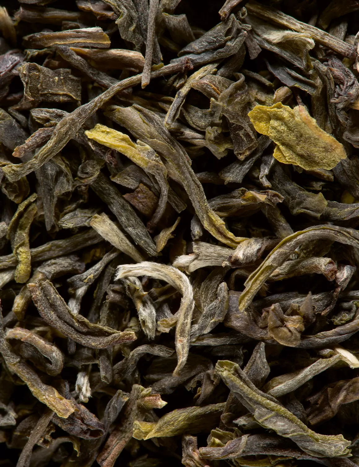 Tè Verde | Tè Verde<DAMMANN Frères Yunnan Vert